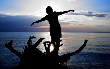 Woman standing on fallen tree at evening clipart