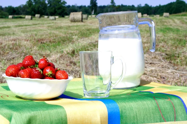 Foto jahody v misce a mléko — Stock fotografie