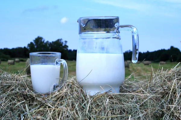 Фото молока и стекла на стоге сена — стоковое фото