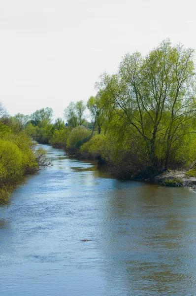 Mała rzeka — Zdjęcie stockowe