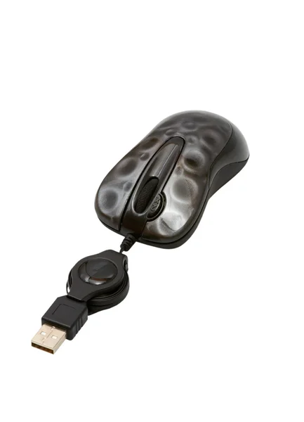 Computer Mouse — Stock Photo, Image