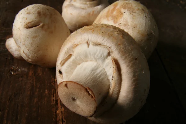 Mushrooms rustic — Stock Photo, Image