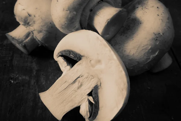 Ciuperci rustice — Fotografie, imagine de stoc
