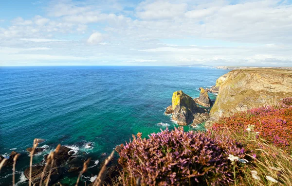 Cornwall deniz kayalıklarla heather manzara — Stok fotoğraf