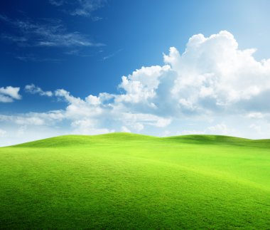 Field of grass and perfect sky clipart