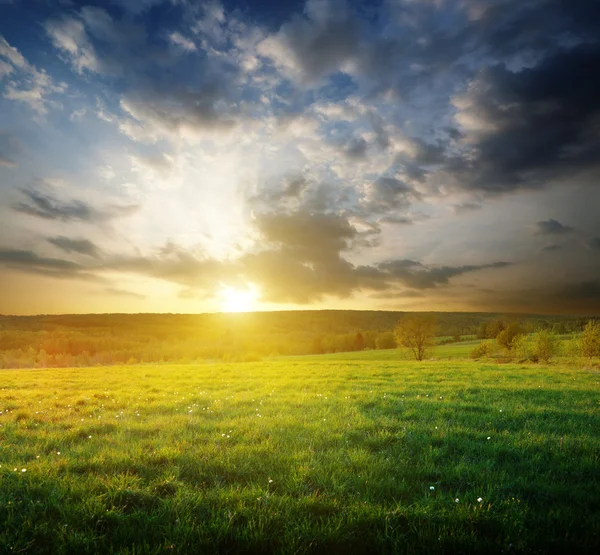 Våren fält av gräs i Ryssland och solnedgång — Stockfoto