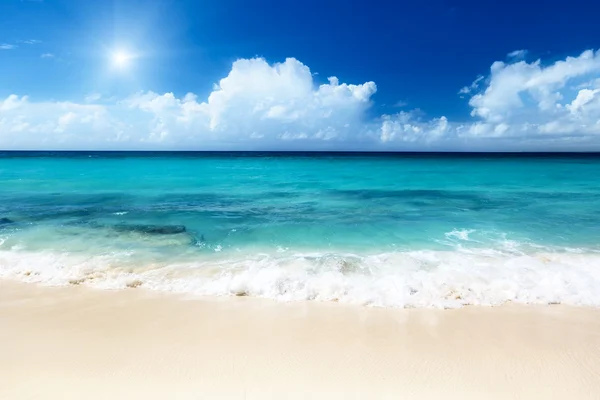 Strand auf der Insel Catalina Dominikanische Republik — Stockfoto