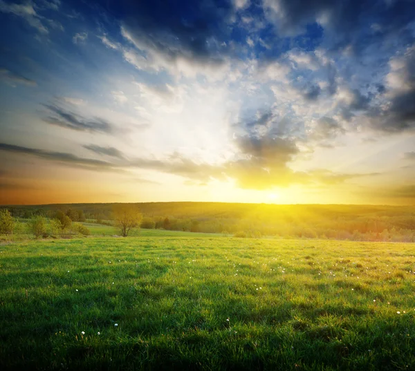 Spring field of grass in Russia and sunset — Stock Photo, Image