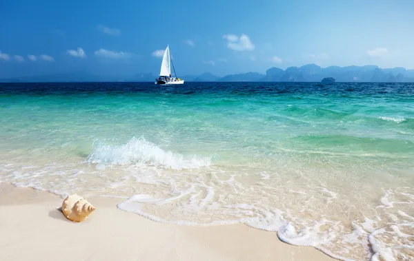 Schelp op het strand van poda eiland thailand — Stockfoto