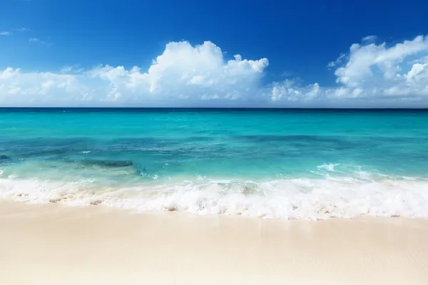 Praia na ilha de Catalina República Dominicana — Fotografia de Stock