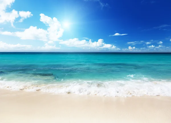 Plaża na wyspę catalina Dominikana — Zdjęcie stockowe