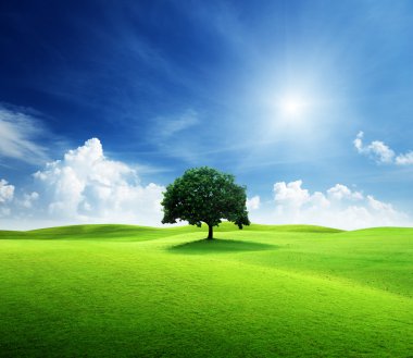 One tree and perfect grass field clipart