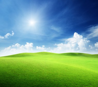 Field of grass and perfect sky clipart