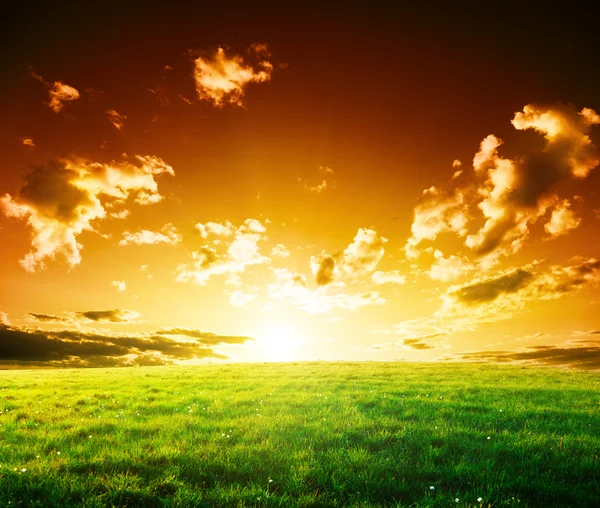 Jarní pole trávy a západ slunce — Stock fotografie