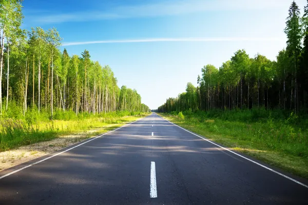 Road in Russian forest — Stock Photo, Image
