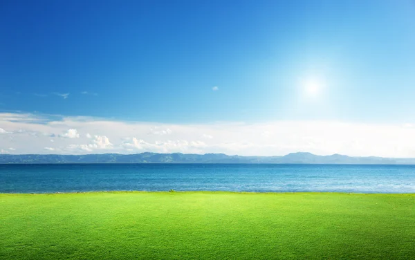 Groen gras en Caribische zee — Stockfoto