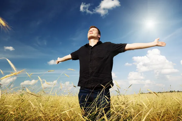 Mann ruht sich auf Weizenfeld aus — Stockfoto