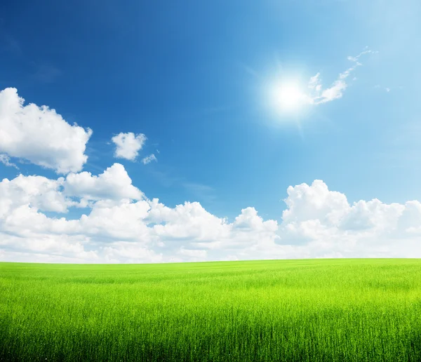 草和完美的天空 — 图库照片