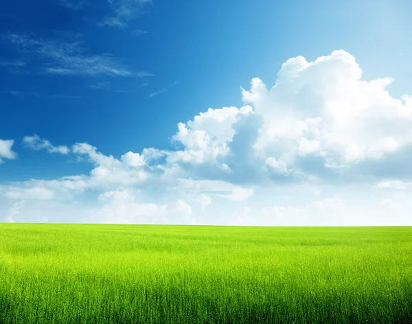 Çim ve mükemmel gökyüzü — Stok fotoğraf