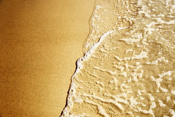 stock image Sand of beach caribbean sea