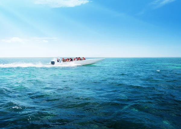 Speed boat in Caribbean sea — Stock Photo, Image