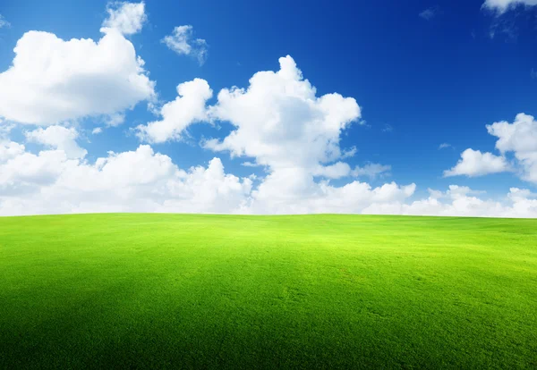 Gräsfält och perfekt himmel — Stockfoto