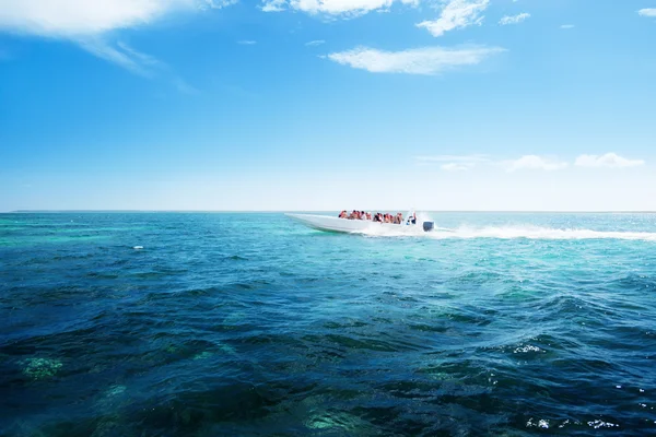 Speedboot in Caribische zee — Stockfoto