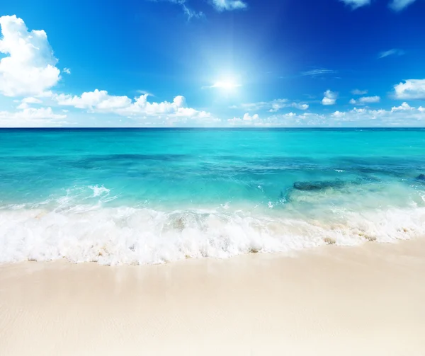 Beach on Catalina island Dominican republic — Stock Photo, Image