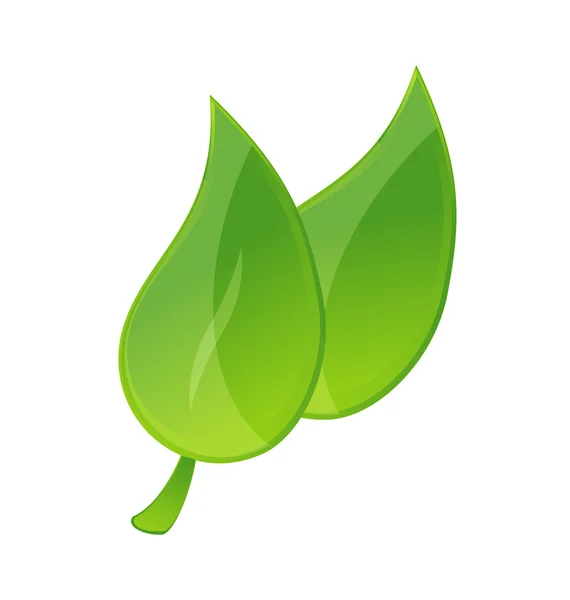 Błyszczący charakter liści kolor zielony znak — Wektor stockowy