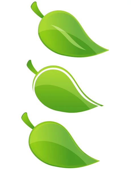 Öko jellegű jel beállítása zöld színű levelek — Stock Vector