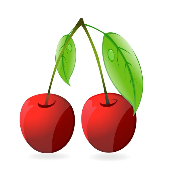 Brillante dos cereza color rojo aislado — Vector de stock
