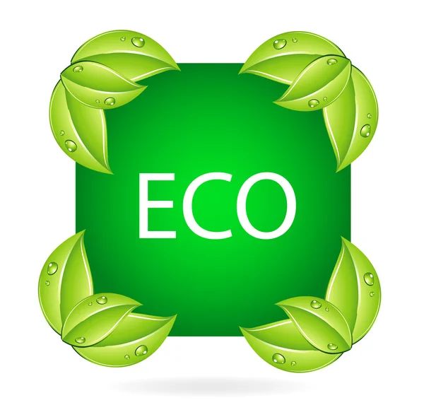Φύση eco σύμβολο και φύλλα — Διανυσματικό Αρχείο