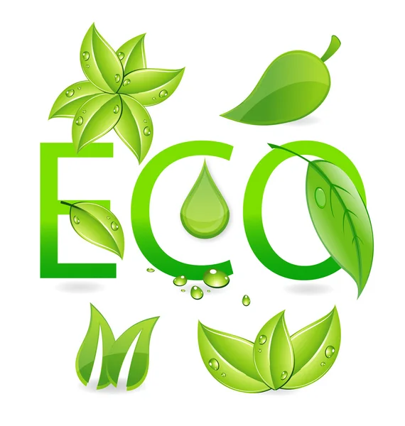 Příroda eco leafs sada symbolů — Stockový vektor