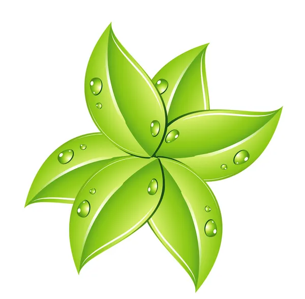 Natura foglie verdi segno sul bianco — Vettoriale Stock