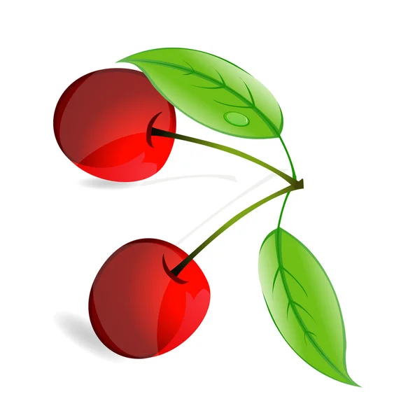 Nature cherry symbol — Stock Vector