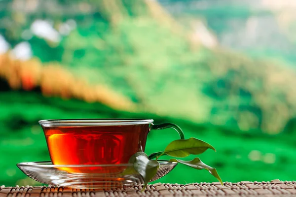 Xícara de chá fundo natural — Fotografia de Stock