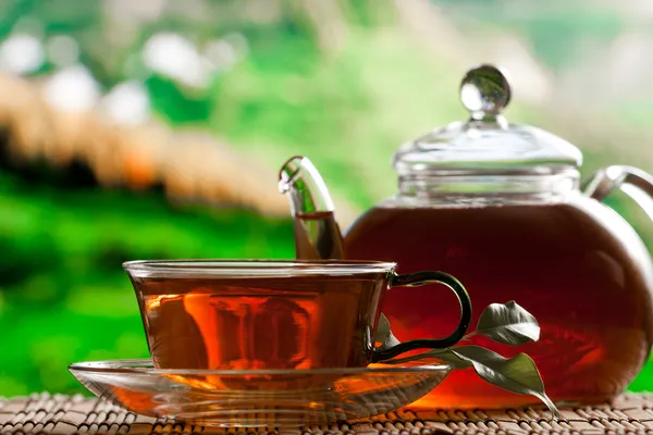 Théière et tasse de thé — Photo