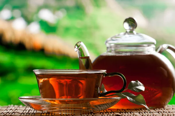 Τσαγιέρα και φλιτζάνι τσάι Φωτογραφία Αρχείου