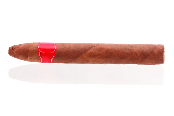 Stock Photo: isolated long elegant brown cigar — Stock Photo, Image
