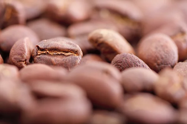 stock image Coffee beans