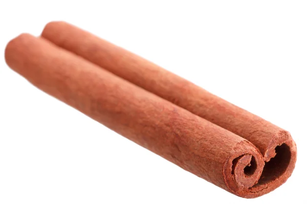 stock image Single cinnamon stick isolated on white background