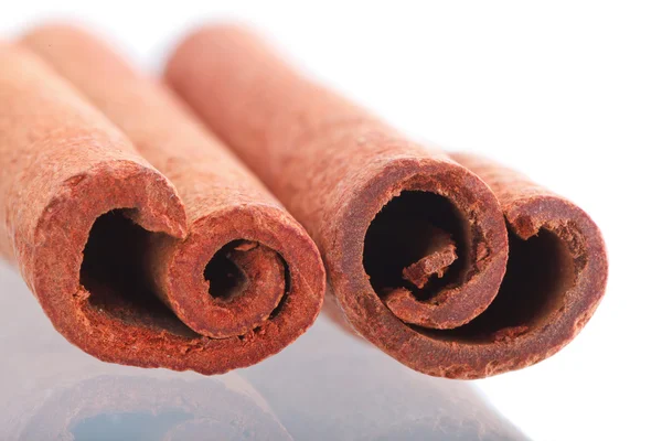 stock image Two cinnamon sticks isolated on white background. Close up