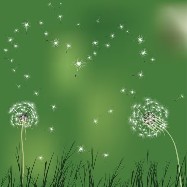 Love background with dandelion clipart