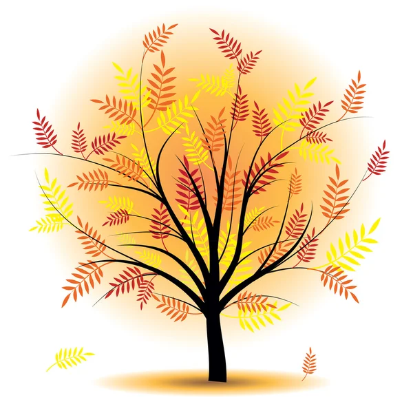 Hermoso árbol de otoño . — Vector de stock