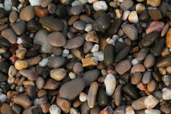 Verschillende zee steentjes — Stockfoto