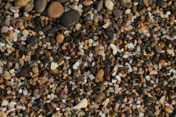 Batu laut kecil — Stok Foto