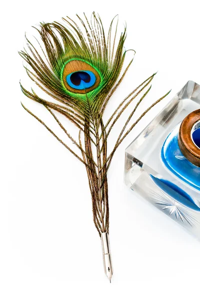Peacock feather quill en inkwell — Stockfoto