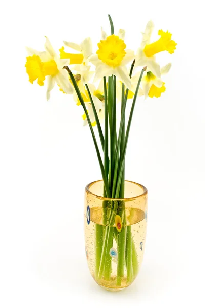 A bouquet of yellow daffodils narcissus — Stock Photo, Image