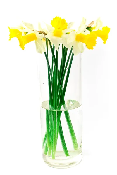 黄水仙水仙在大玻璃花瓶 — 图库照片