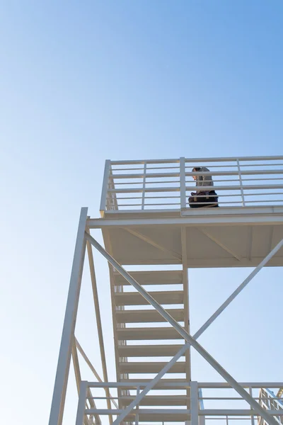 Белая лестница в гавань - закат — стоковое фото